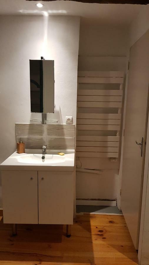 Appartement Avec Cour ★ Spacieux ★ Hyper Centre Castres  Exterior photo